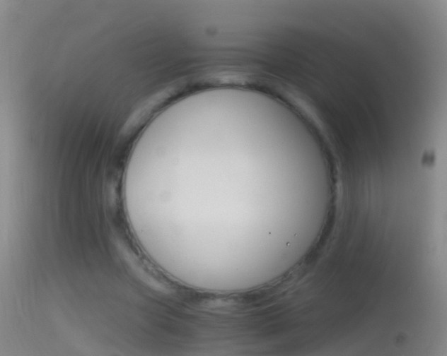 X0000114390537200910161034