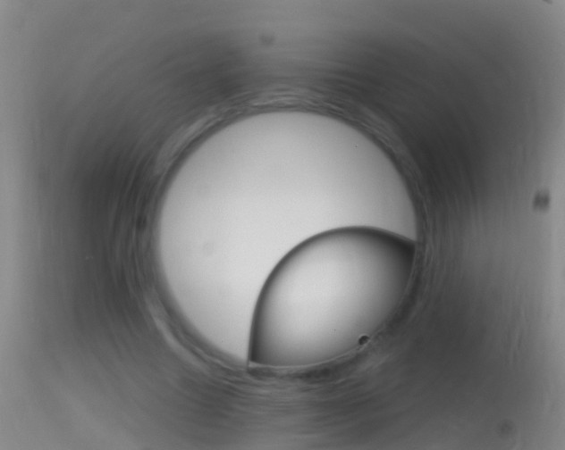 X0000114390538200910161034