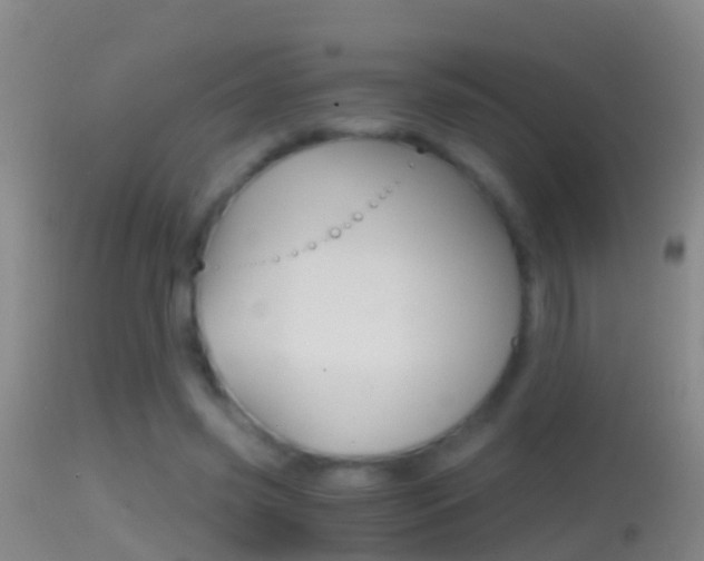 X0000114390541200910161034