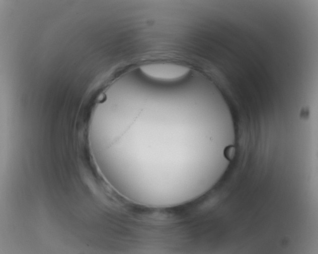 X0000114390542200910161034