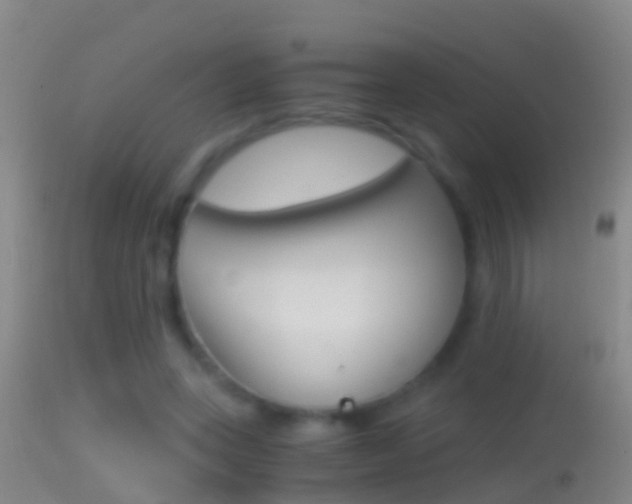 X0000114390543200910161034