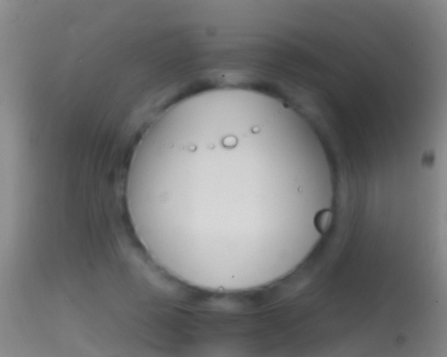 X0000114390545200910161034