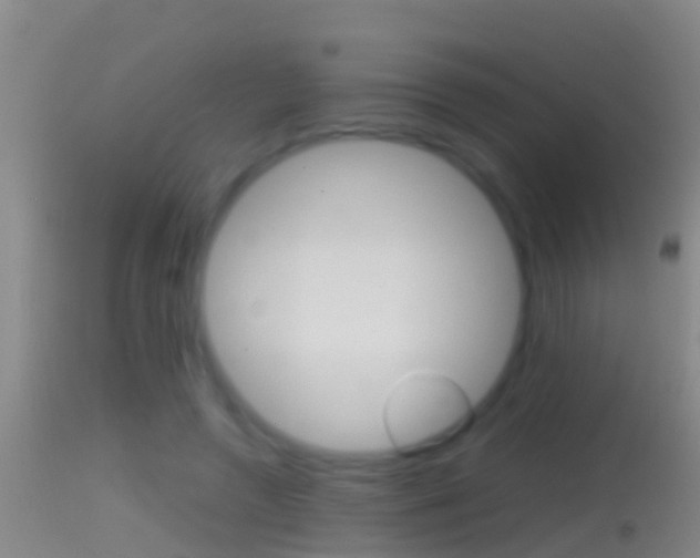 X0000114390546200910161034