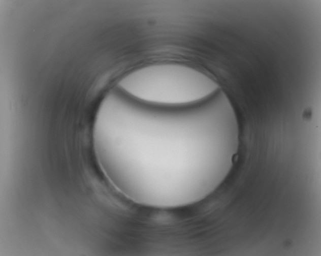 X0000114390547200910161034