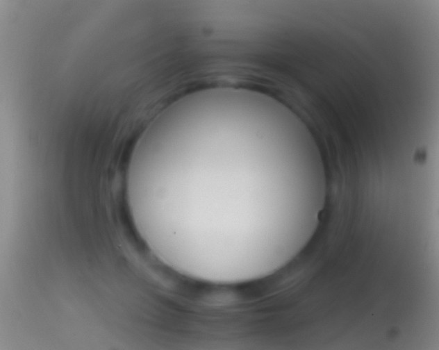X0000114390551200910161034
