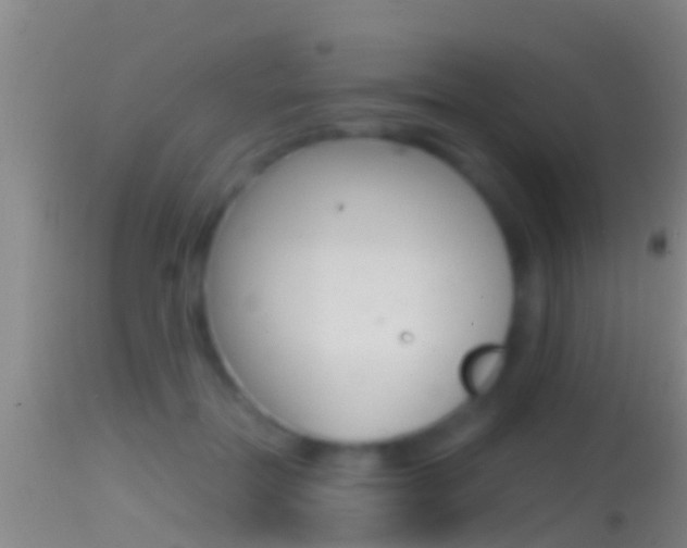 X0000114390554200910161035