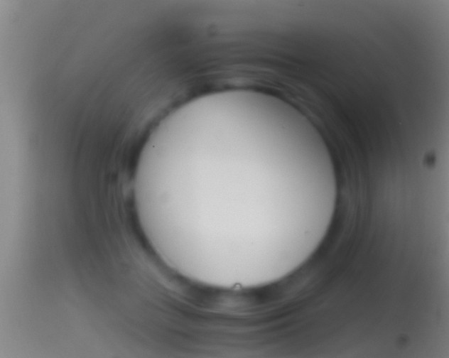 X0000114390555200910161035