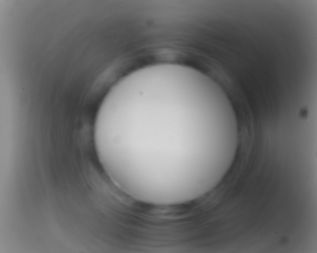 X0000114390557200910161035