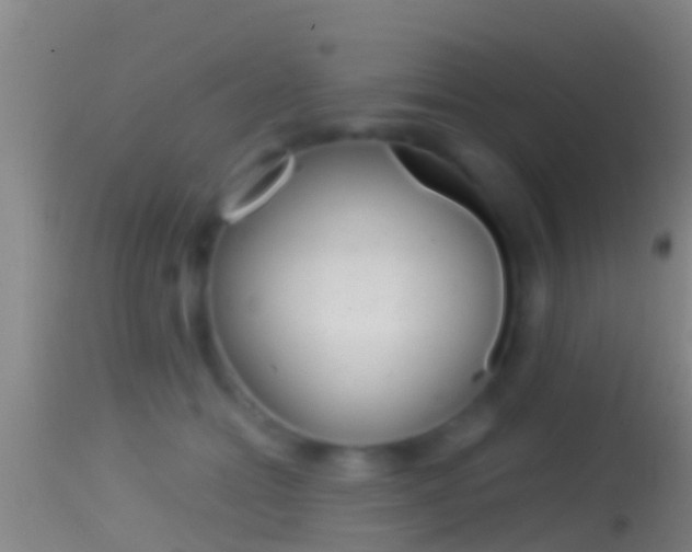 X0000114390558200910161035