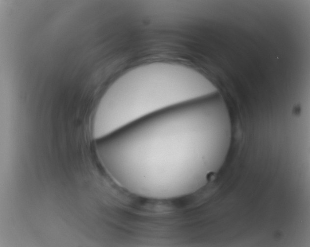 X0000114390559200910161035
