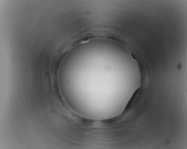 X0000114390562200910161035