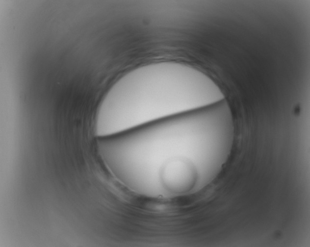 X0000114390563200910161035