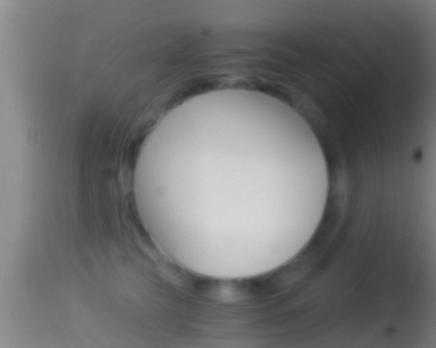 X0000114390565200910161035