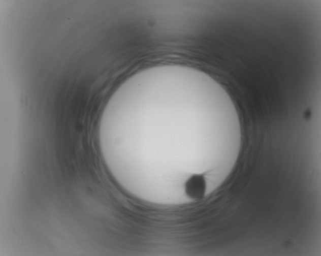 X0000114390566200910161035