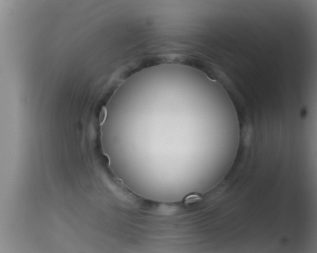 X0000114390570200910161035