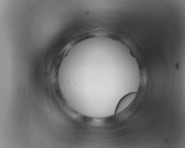X0000114390573200910161035