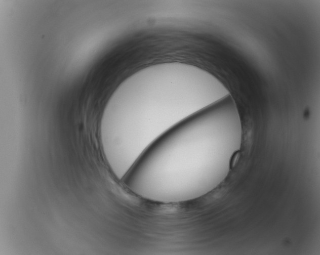 X0000114390574200910161035