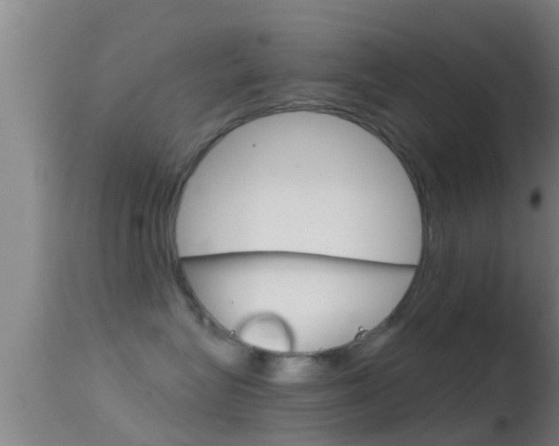 X0000114390575200910161035