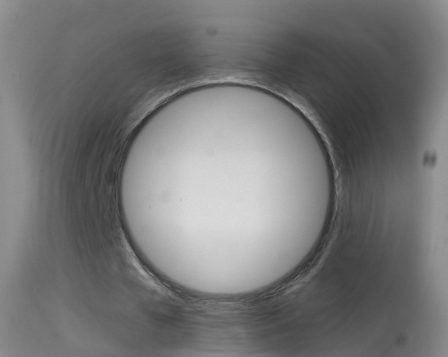 X0000114390577200910161034