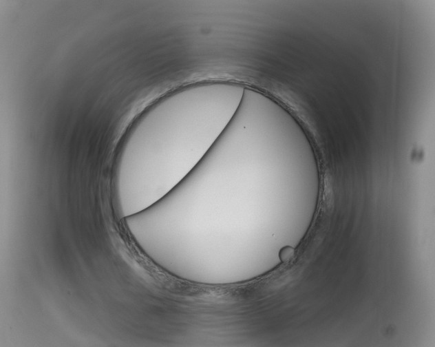 X0000114390578200910161034