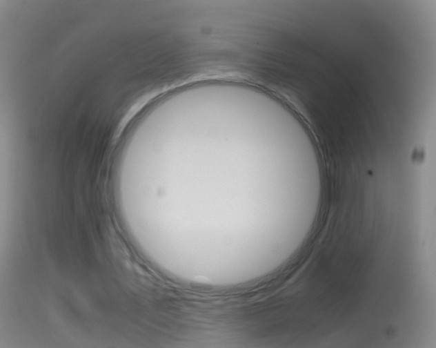 X0000114390579200910161034
