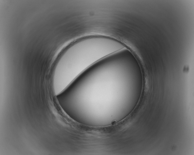 X0000114390580200910161034
