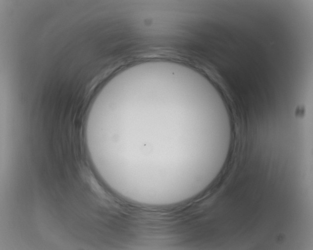 X0000114390585200910161034