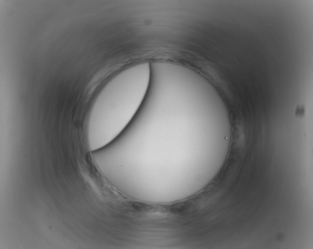 X0000114390586200910161034