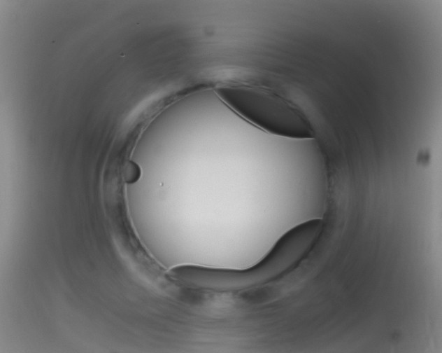 X0000114390587200910161034