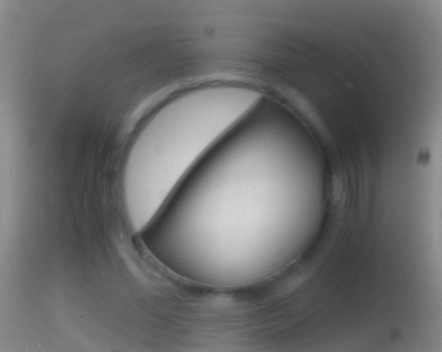 X0000114390588200910161034