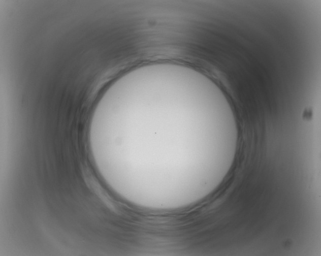 X0000114390589200910161034