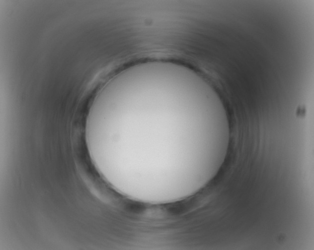 X0000114390591200910161034