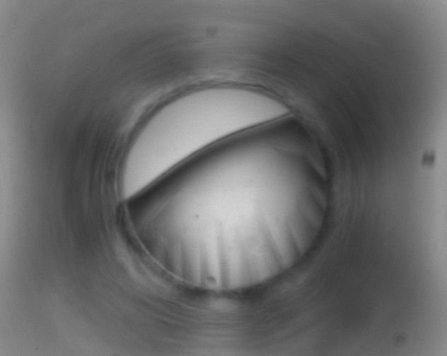 X0000114390592200910161034