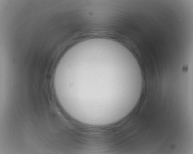 X0000114390593200910161034