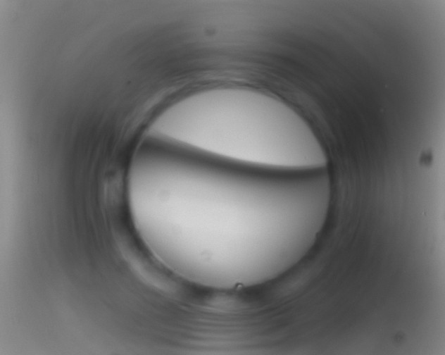 X0000114390596200910161034