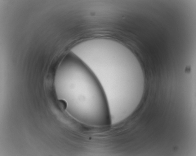 X0000114390597200910161034