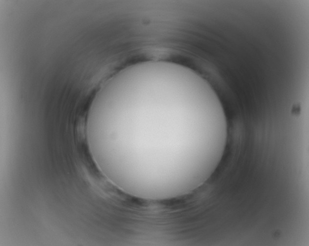 X0000114390598200910161034