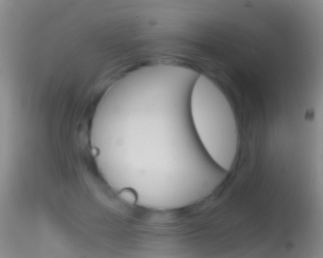 X0000114390599200910161034