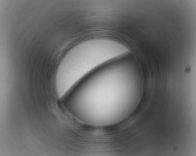 X0000114390600200910161034
