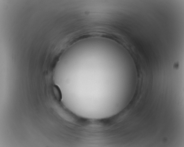 X0000114390601200910161034