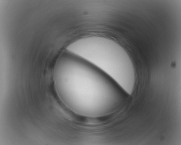X0000114390605200910161034