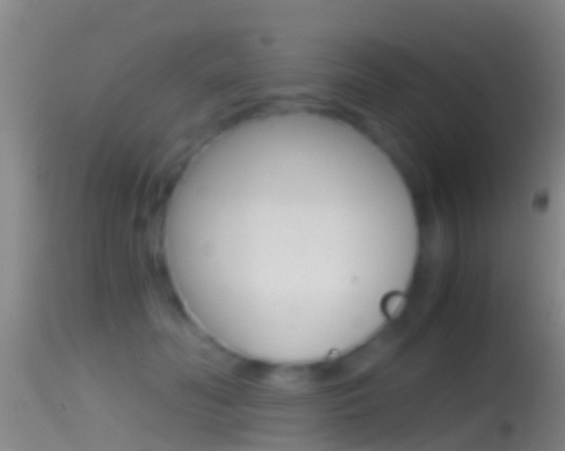 X0000114390606200910161034