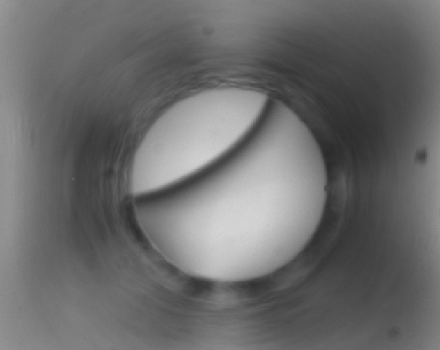 X0000114390608200910161034