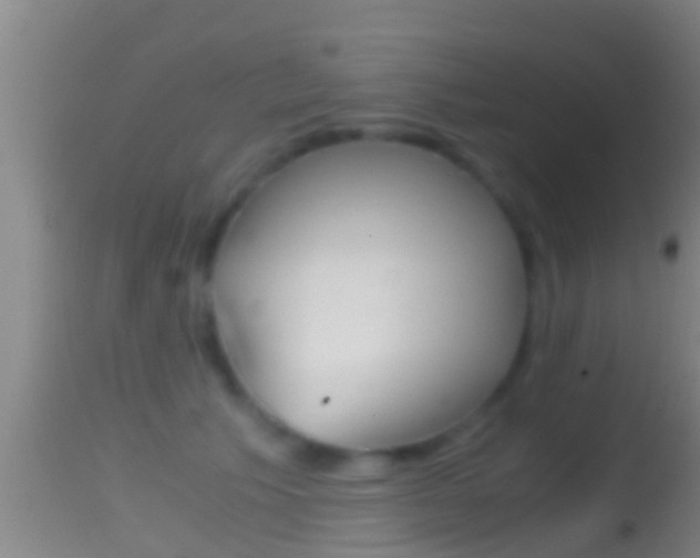 X0000114390609200910161034