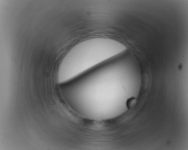 X0000114390612200910161034