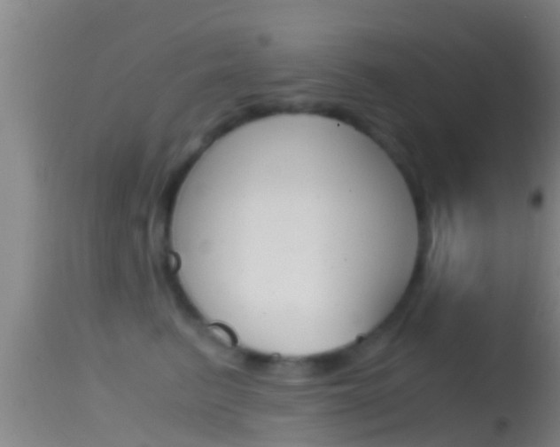 X0000114390615200910161034