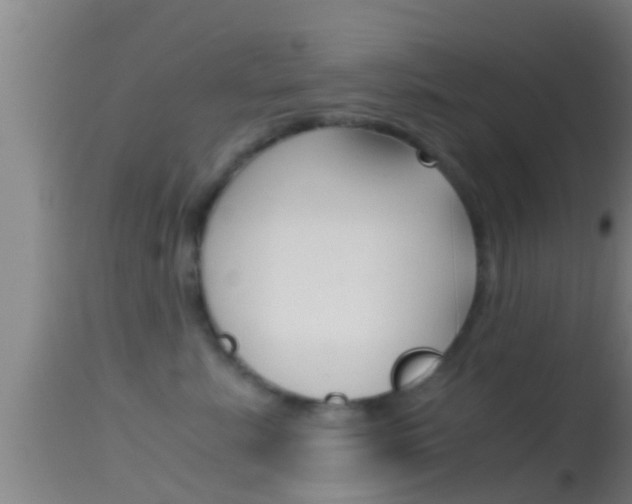 X0000114390619200910161034
