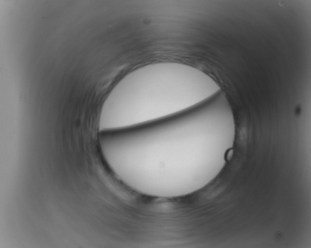 X0000114390620200910161034