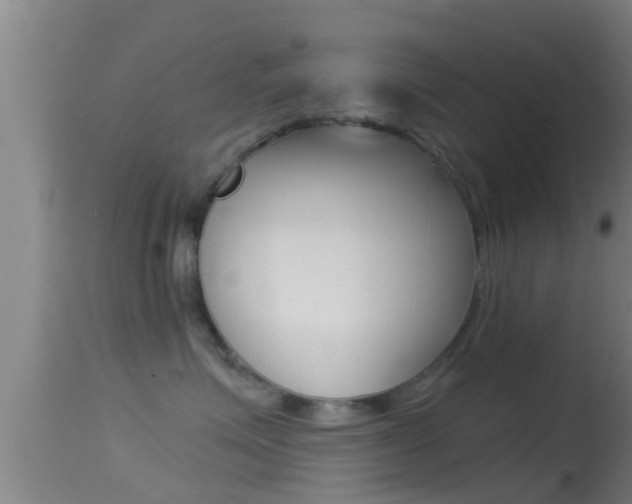 X0000114390623200910161034