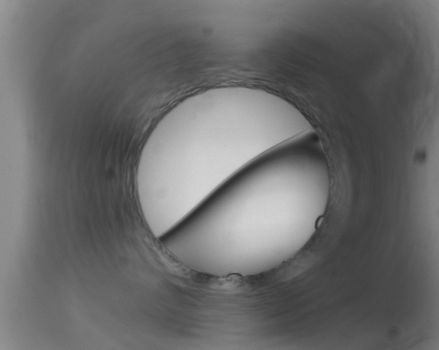 X0000114390624200910161033